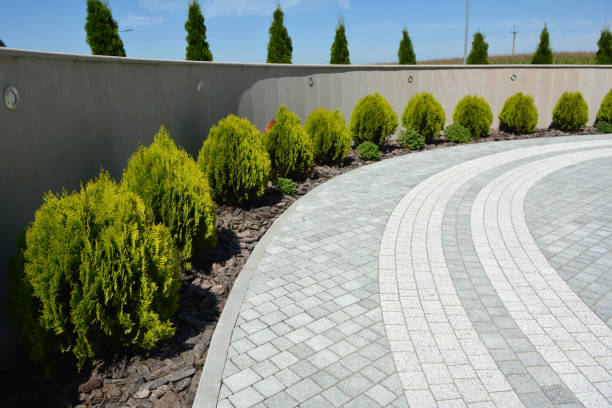 Best Best Driveway Pavers  in Youngsville, NC